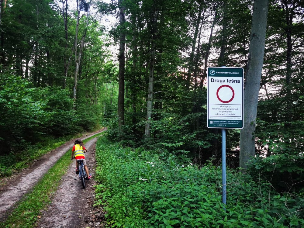 Las w okolicy pensjonatu Ambrowil