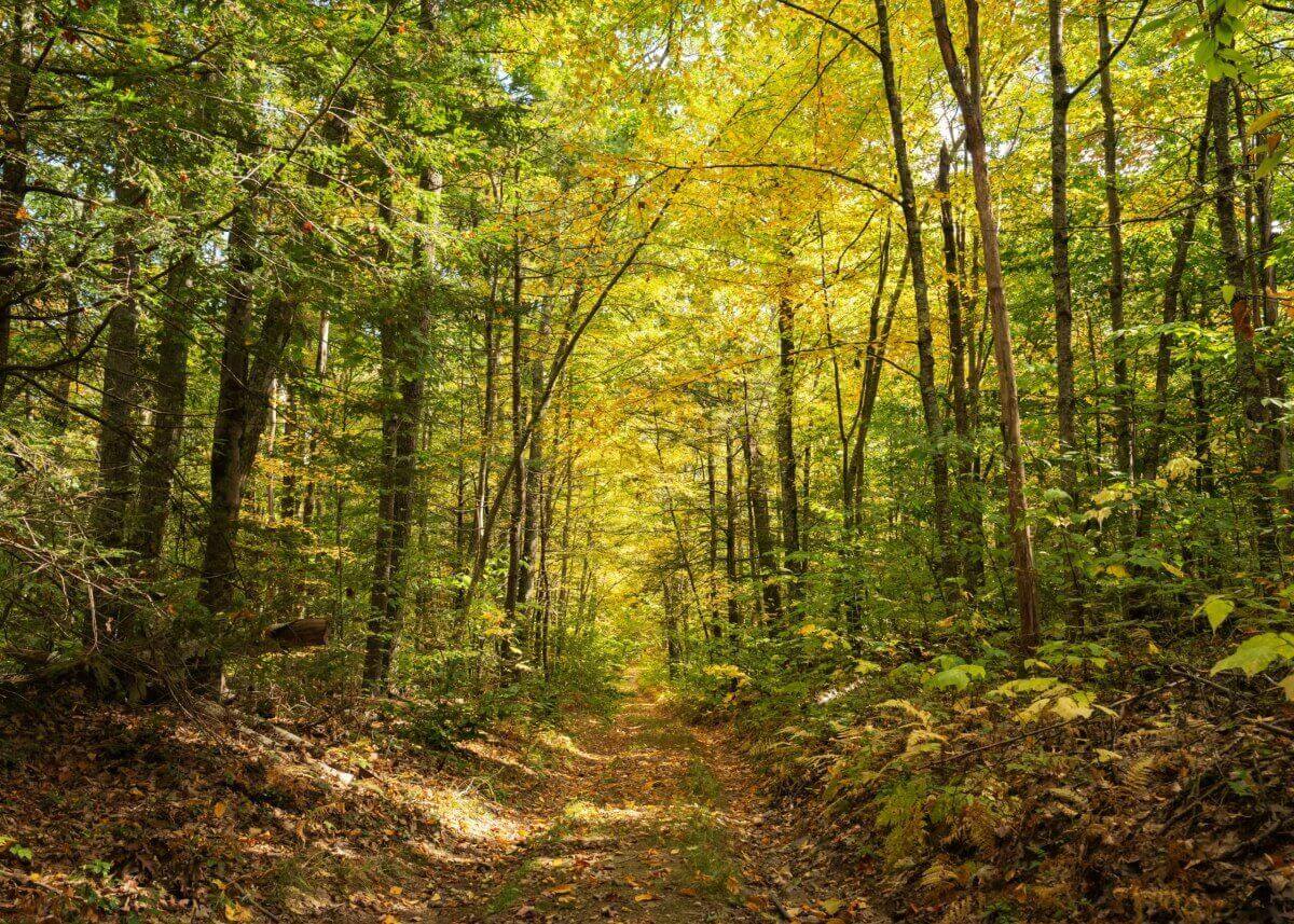 Aktywny wypoczynek Lidzbark